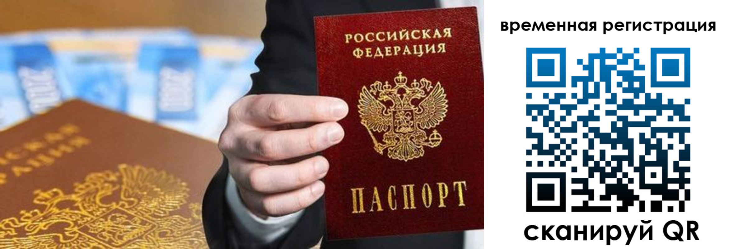 прописка поиск в Апатитах